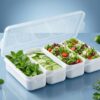 4-Compartment Food Storage Container with Lid – Multi-Section Meal Prep Box